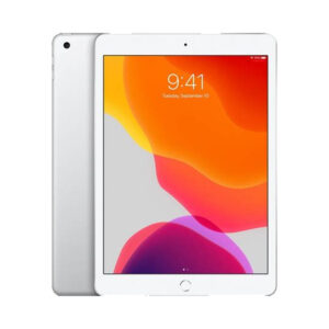 iPad (8a generazione) Wi-Fi + Cellular A2428-A2429-A2430 32GB Silver